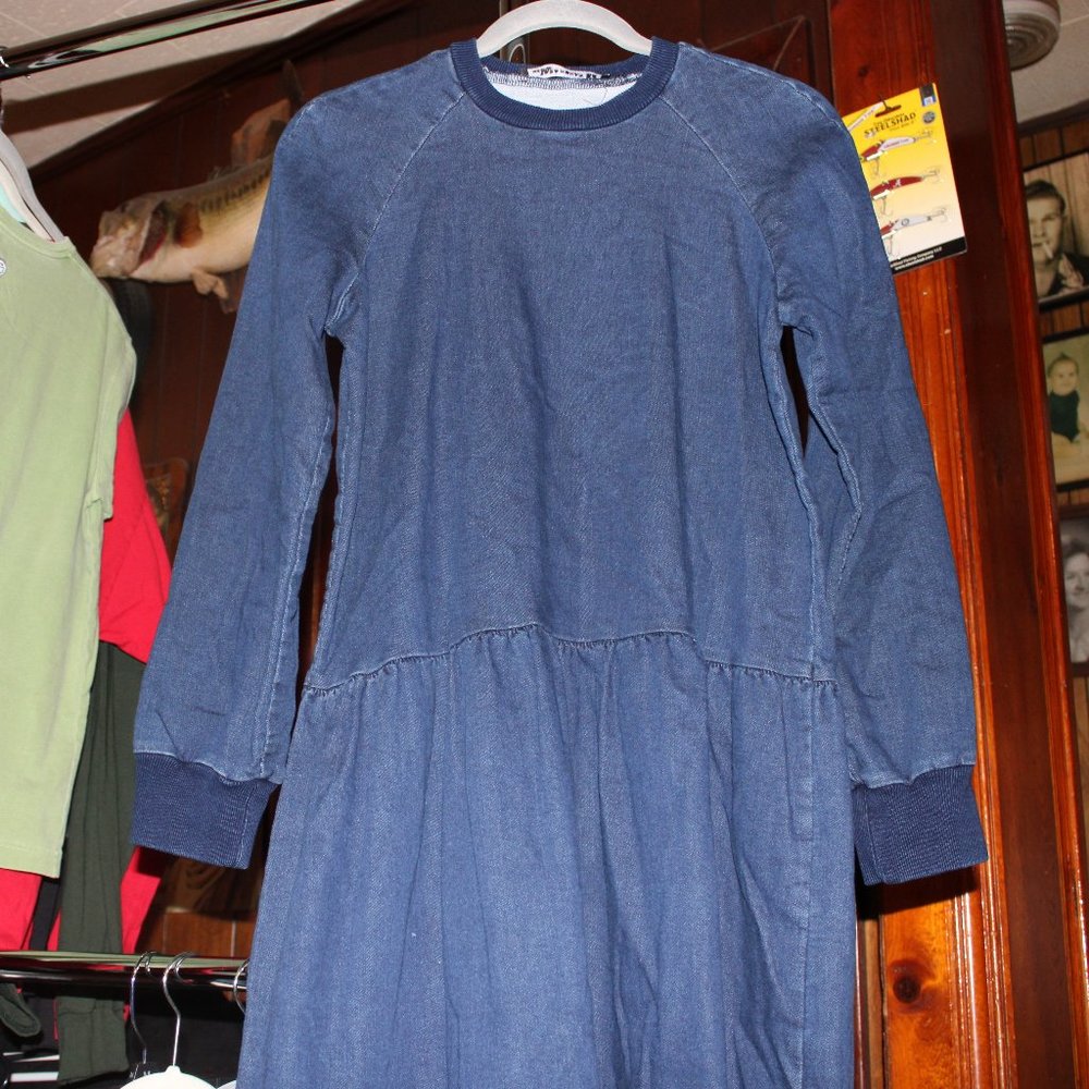 denim oversized dress
